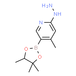 2-hydrazinyl-4-Methyl-5-(4,4,5-triMethyl-1,3,2-dioxaborolan-2-yl)pyridine结构式