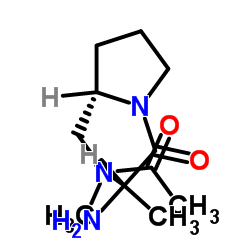 N-{[(2S)-1-Alanyl-2-pyrrolidinyl]methyl}-N-methylacetamide结构式
