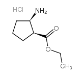 (1R,2S)-REL-ETHYL 2-AMINOCYCLOPENTANECARBOXYLATE HYDROCHLORIDE picture
