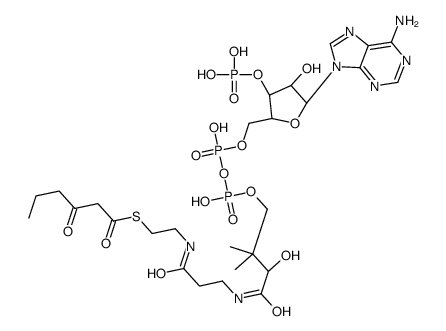 3-oxohexanoyl-CoA Structure