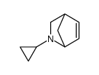 2-Azabicyclo[2.2.1]hept-5-ene,2-cyclopropyl-(9CI) picture