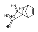 2-Azabicyclo[2.2.1]hept-5-ene-3,3-dicarboxamide(8CI) Structure