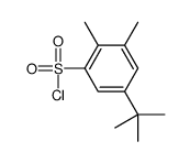 5-tert-butyl-2,3-dimethylbenzenesulfonyl chloride(SALTDATA: FREE)结构式