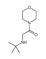 2-[(2-Methyl-2-propanyl)amino]-1-(4-morpholinyl)ethanone Structure