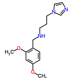 N-(2,4-Dimethoxybenzyl)-3-(1H-imidazol-1-yl)-1-propanamine结构式