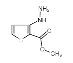 3-肼基噻吩-2-羧酸甲酯结构式