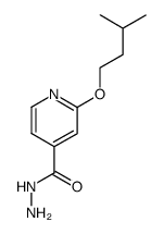 2-isopentyloxy-isonicotinic acid hydrazide Structure