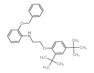 2-(Benzyloxy)-N-{2-[2,4-di(tert-butyl)phenoxy]-ethyl}aniline Structure