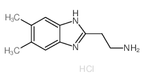 2-(5,6-Dimethyl-1H-benzoimidazol-2-yl)-ethylamine hydrochloride结构式