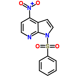 4-Nitro-1-(phenylsulfonyl)-1H-pyrrolo[2,3-b]pyridine Structure