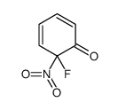 2,4-Cyclohexadien-1-one,6-fluoro-6-nitro-(9CI) picture