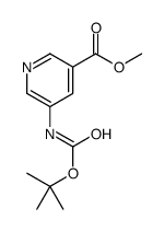 Methyl 5-((tert-butoxycarbonyl)amino)nicotinate Structure