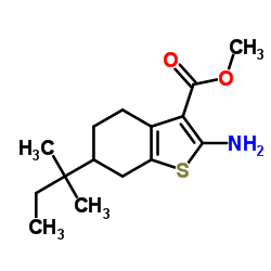 2-AMINO-6-(1,1-DIMETHYLPROPYL)-4,5,6,7-TETRAHYDROBENZO[B]THIOPHENE-3-CARBOXYLICACIDMETHYLESTER Structure