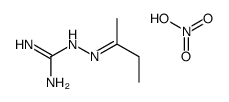 2-(butan-2-ylideneamino)guanidine,nitric acid Structure