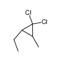 cis,trans-3,3-Dichlor-1-methyl-2-aethyl-cyclopropan结构式