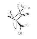 Bicyclo[2.2.1]heptane-1-carboxylicacid, 3,3-dimethyl-2-methylene- picture
