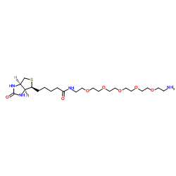 Biotin-PEG5-amine图片