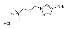 1-(2,2,2-trifluoroethoxymethyl)pyrazol-4-amine,hydrochloride Structure