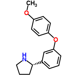 (2S)-2-[3-(4-Methoxyphenoxy)phenyl]pyrrolidine结构式