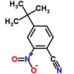 4-(2-Methyl-2-propanyl)-2-nitrobenzonitrile结构式