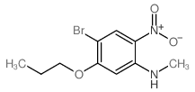 4-Bromo-N-methyl-2-nitro-5-propoxyaniline picture