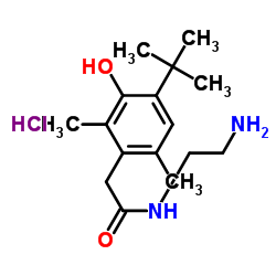 N-(2-Aminoethyl)-2-[4-(1,1-dimethylethyl)-3-hydroxy-2,6-dimethylphenyl]acetamide Hydrochloride结构式