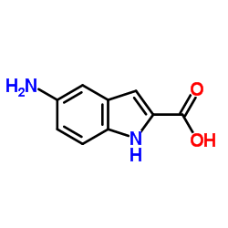 5-氨基-2-吲哚羧酸图片