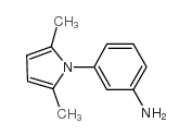 1-(3-AMINOPHENYL)-2,5-DIMETHYLPYRROLE picture