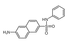 6-amino-N-phenylnaphthalene-2-sulfonamide Structure