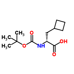 (R)-2-(tert-butoxycarbonylamino)-3-cyclobutylpropanoic acid picture