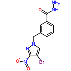 3-(4-BROMO-3-NITRO-PYRAZOL-1-YLMETHYL)-BENZOIC ACID HYDRAZIDE结构式
