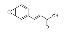 3-(7-oxabicyclo[4.1.0]hepta-2,4-dien-4-yl)prop-2-enoic acid Structure
