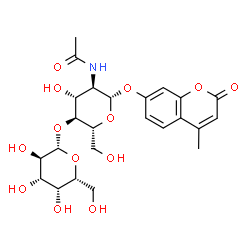 methylumbelliferyl 2-acetamido-2-deoxy-beta-D-lactoside Structure