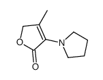 3-methyl-4-pyrrolidin-1-yl-2H-furan-5-one结构式