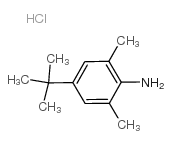 4-TERT-BUTYL-2,6-DIMETHYLANILINE HCL Structure