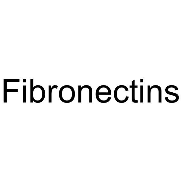 Fibronectin Structure