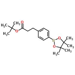 2-Methyl-2-propanyl 3-[4-(4,4,5,5-tetramethyl-1,3,2-dioxaborolan-2-yl)phenyl]propanoate结构式