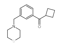 CYCLOBUTYL 3-(THIOMORPHOLINOMETHYL)PHENYL KETONE结构式