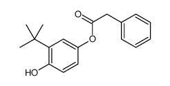 (3-tert-butyl-4-hydroxyphenyl) 2-phenylacetate Structure