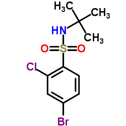 4-Bromo-2-chloro-N-(2-methyl-2-propanyl)benzenesulfonamide Structure