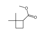 methyl 2,2-dimethylcyclobutane-1-carboxylate结构式