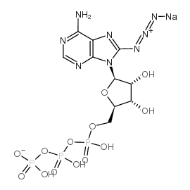 8-叠氮酰苷-5’-三磷酸钠图片