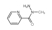 2-Pyridinecarboxylicacid,1-methylhydrazide(9CI) Structure