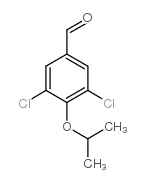 692281-56-4 structure