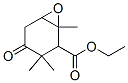 4-Oxo-1,3,3-trimethyl-7-oxabicyclo[4.1.0]heptane-2-carboxylic acid ethyl ester结构式