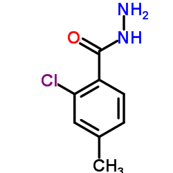 2-Chloro-4-methylbenzohydrazide结构式