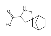spiro[bicyclo[2.2.1]heptane-3,4'-pyrrolidine]-2'-carboxylic acid Structure