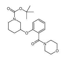 3-[2-(4-吗啉基羰基)苯氧基]-1-哌啶甲酸叔丁酯结构式