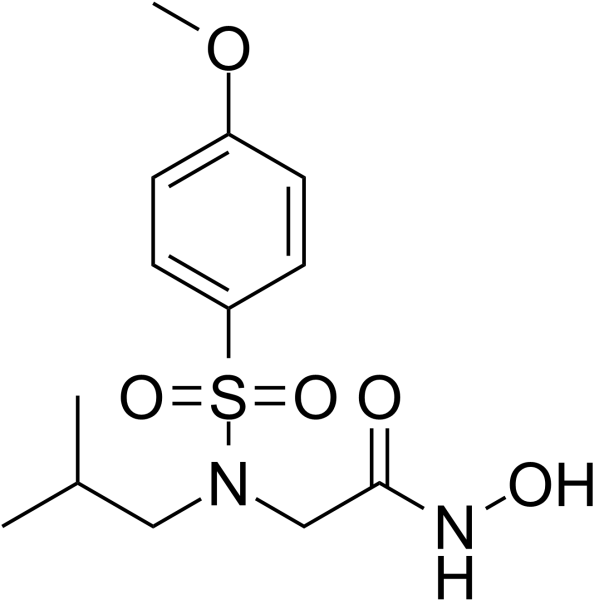 NNGH structure