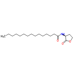 N-(2-Oxotetrahydro-3-furanyl)pentadecanamide structure
